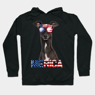 Merica Greyhound Dog American Flag 4Th Of July Hoodie